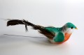 Veren vogel groen 207463